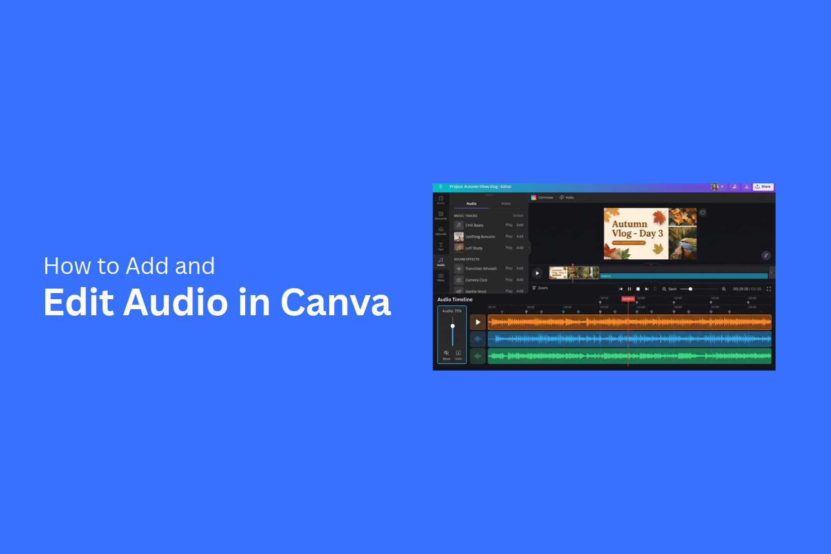 How to Add and Edit Audio in Canva 
