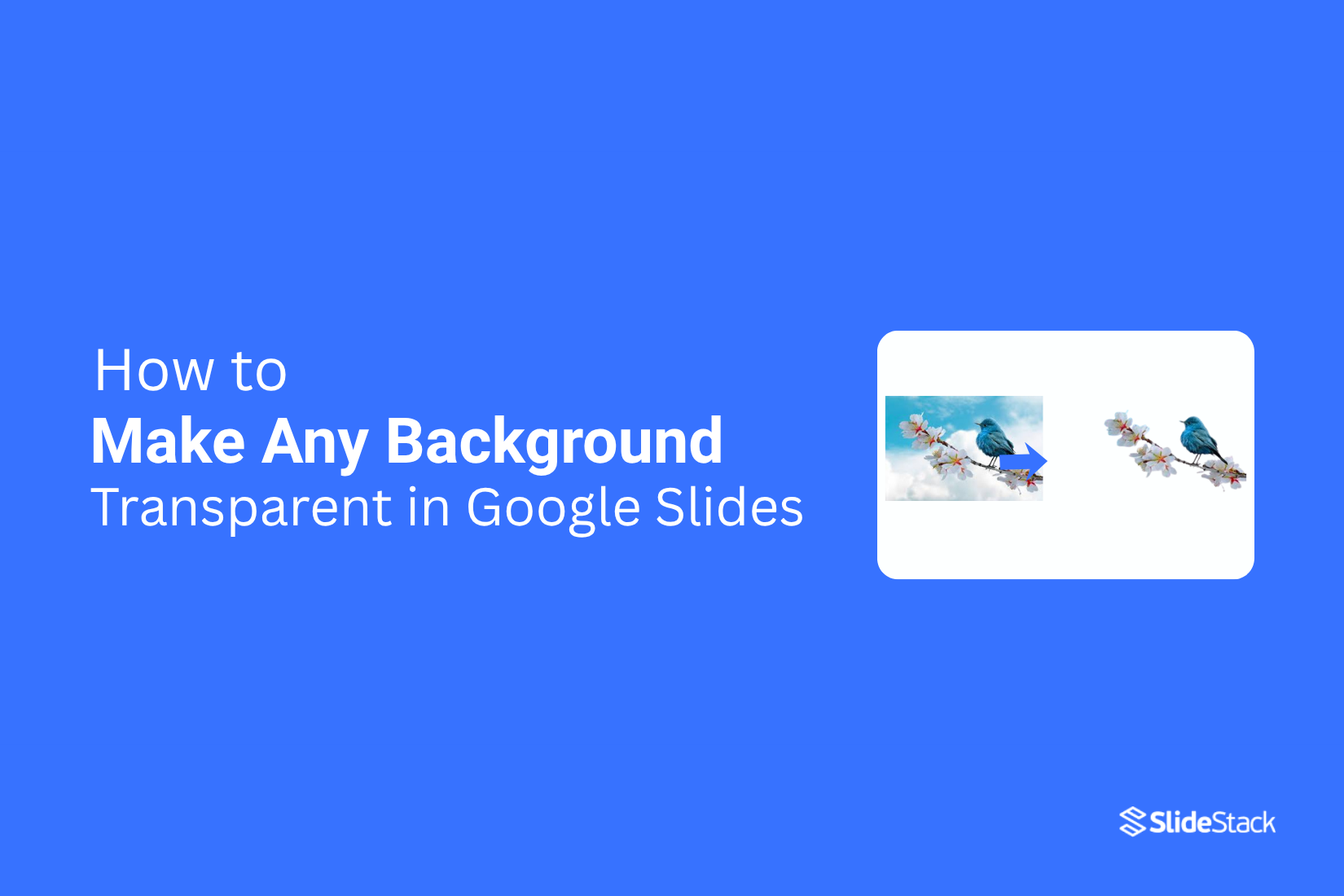 How to Make Any Background Transparent in Google Slides Quickly