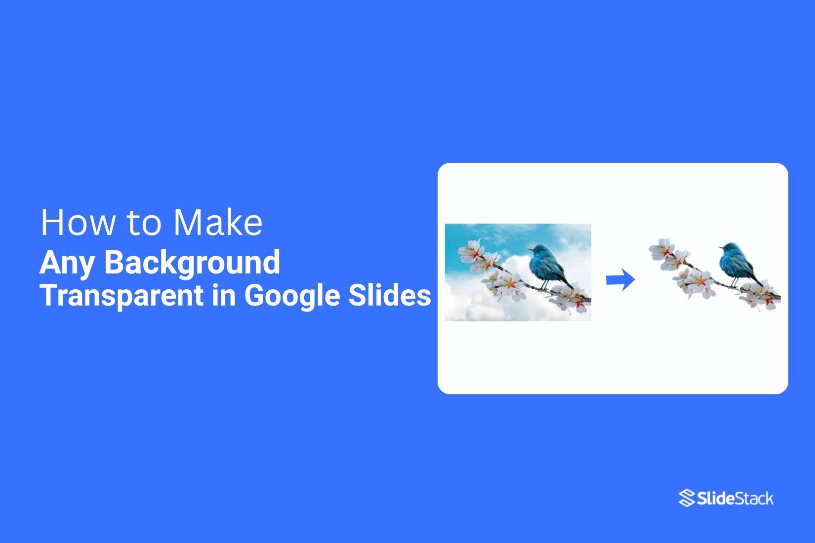 How to Make Any Background Transparent in Google Slides Quickly