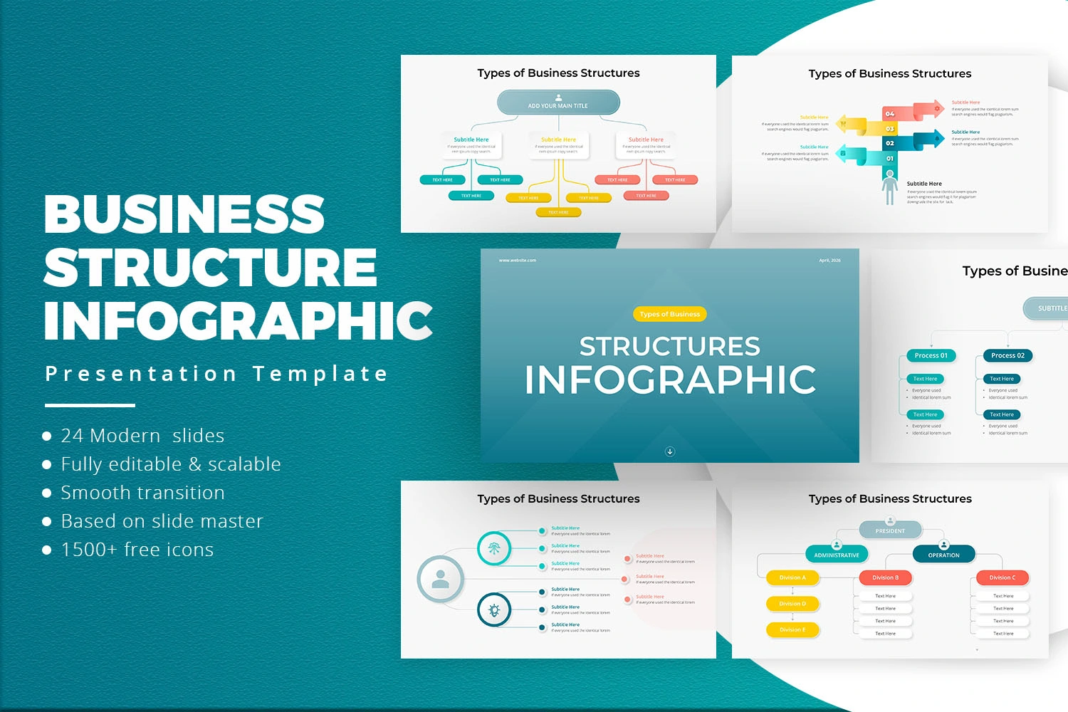 Types of Business Structures Infographics Presentation