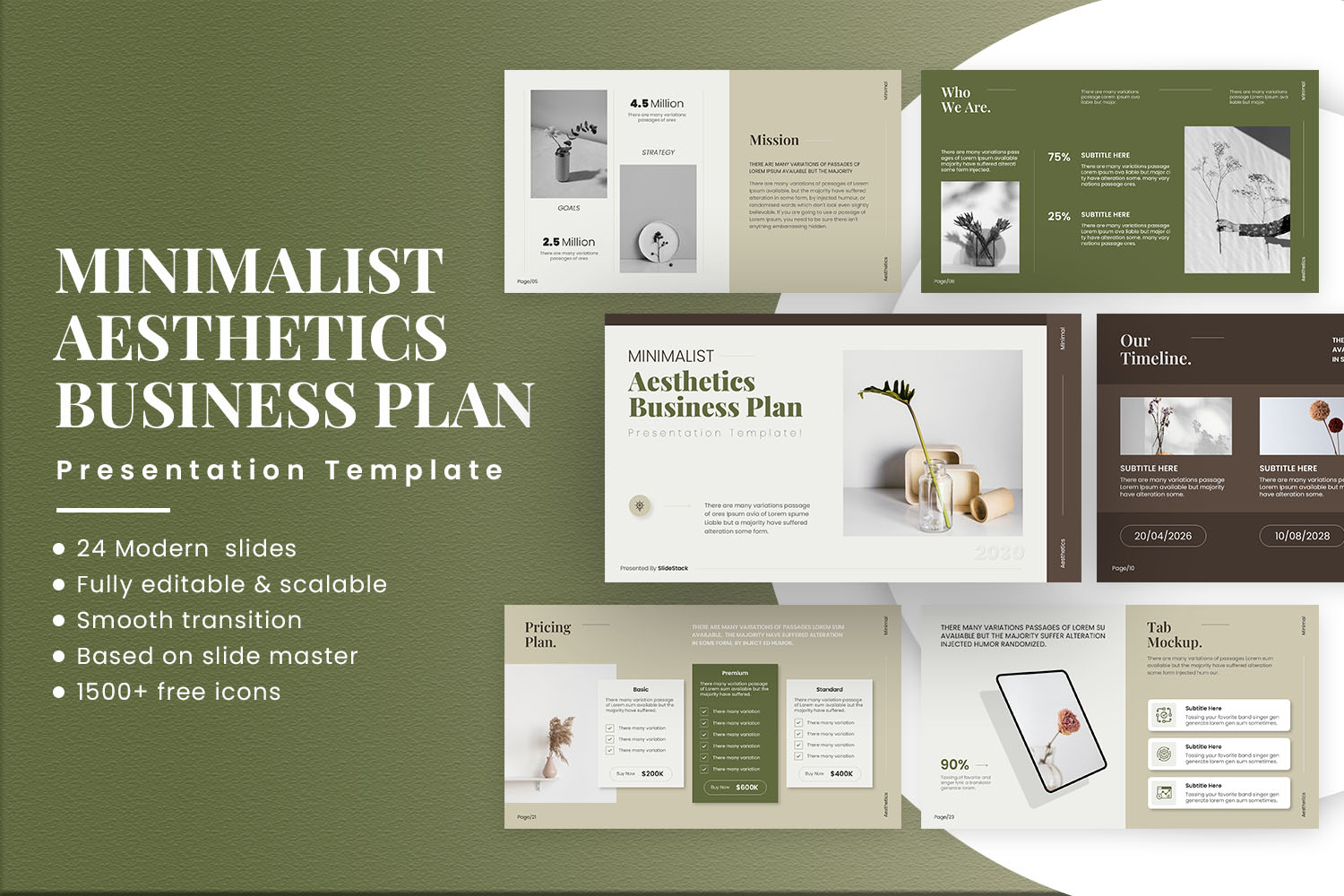 Minimalist Aesthetics Business Plan Presentation