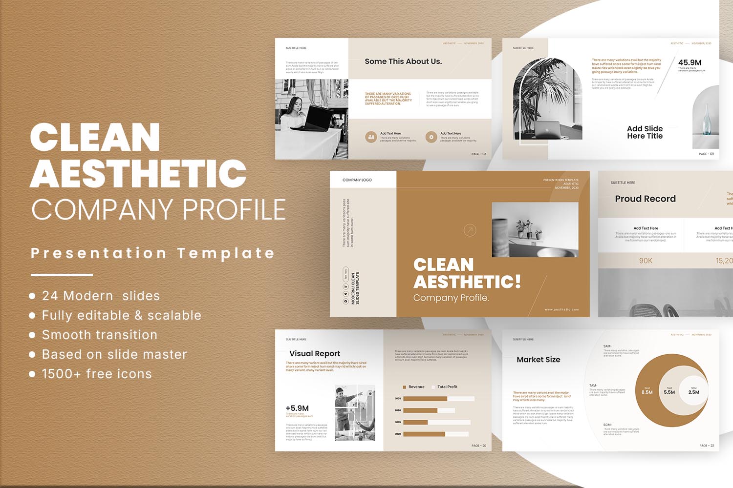 Clean Aesthetic Company Profile Presentation